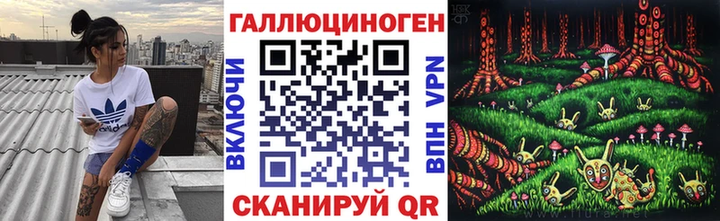 где купить наркотик  Правдинск  Псилоцибиновые грибы Cubensis 